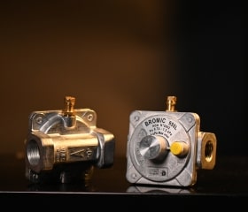 Bromic Natural Gas Regulators